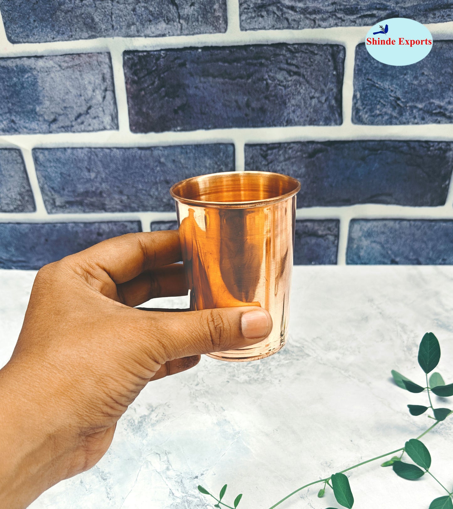 SHINDE EXPORTS tamba copper glass set of 2 glasses for drinking water pooja worship