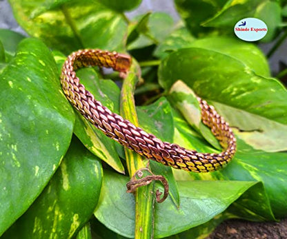 SHINDE EXPORTS Pure Copper Kada/Bracelet for Men and Women